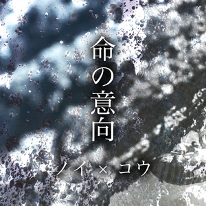 曰本女人视频69xxx
