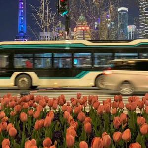 曰本女人视频69xxx
