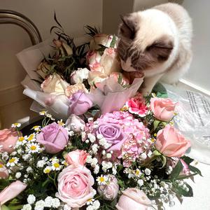 曰本女人视频69xxx
