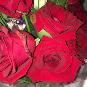 曰本女人视频69xxx
